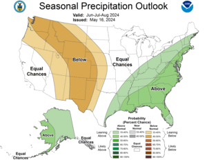 Three Month Outlook - Precipitation Probability