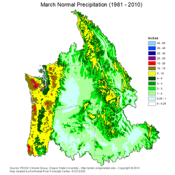 Mean Precipitation Map