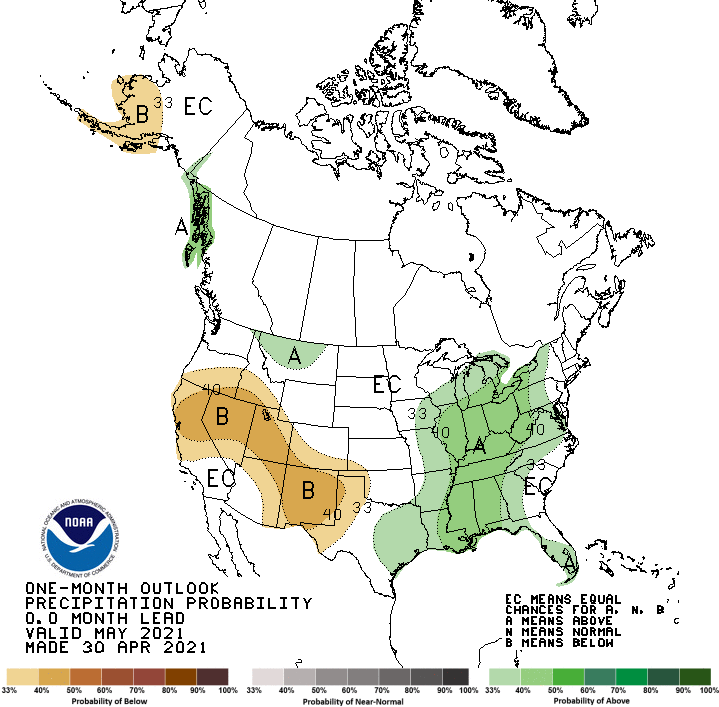 One Month Outlook  Precipitation Probability