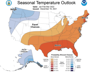 Three Month Outlook - Temperature Probability