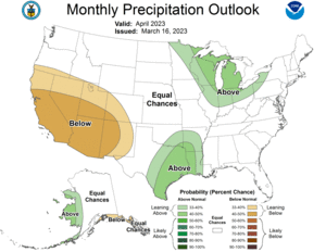 One Month Outlook - Precipitation Probability