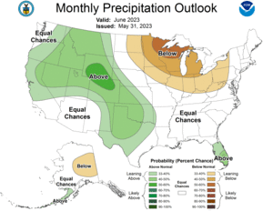 One Month Outlook - Precipitation Probability