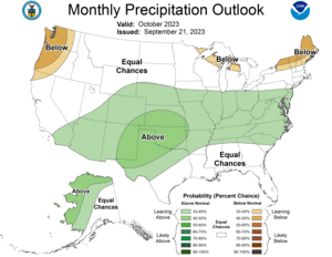 One Month Outlook - Precipitation Probability