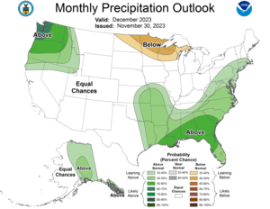 One Month Outlook - Precipitation Probability