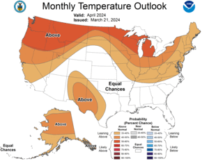 One Month Outlook - Temperature Probability