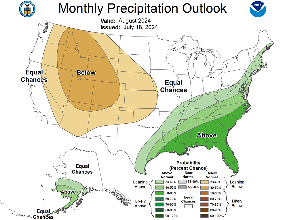 One Month Outlook  Precipitation Probability
