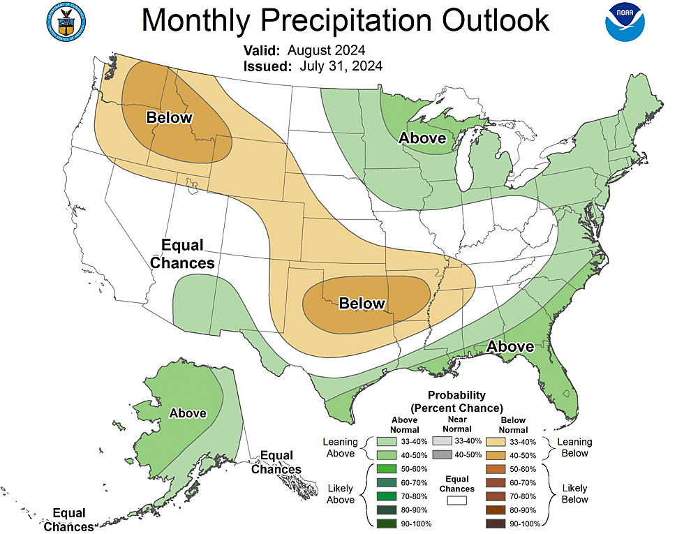 One Month Outlook  Precipitation Probability
