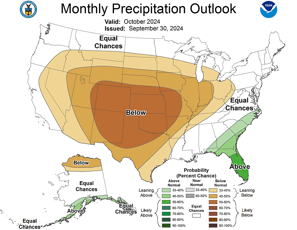 One Month Outlook  Precipitation Probability
