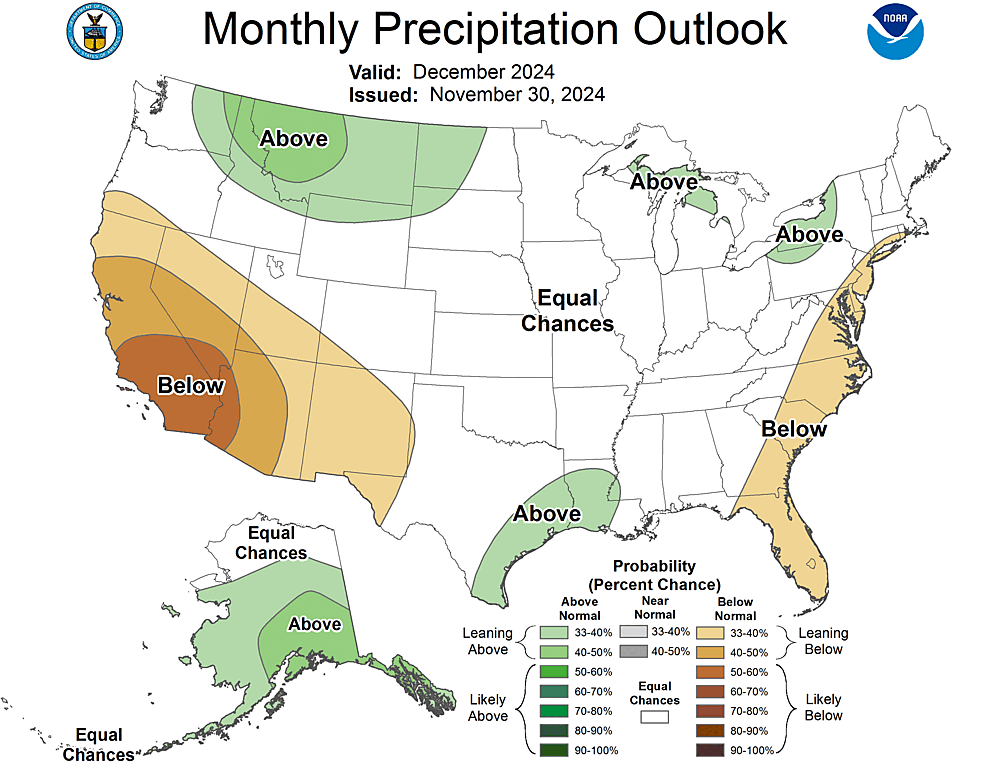 One Month Outlook  Precipitation Probability