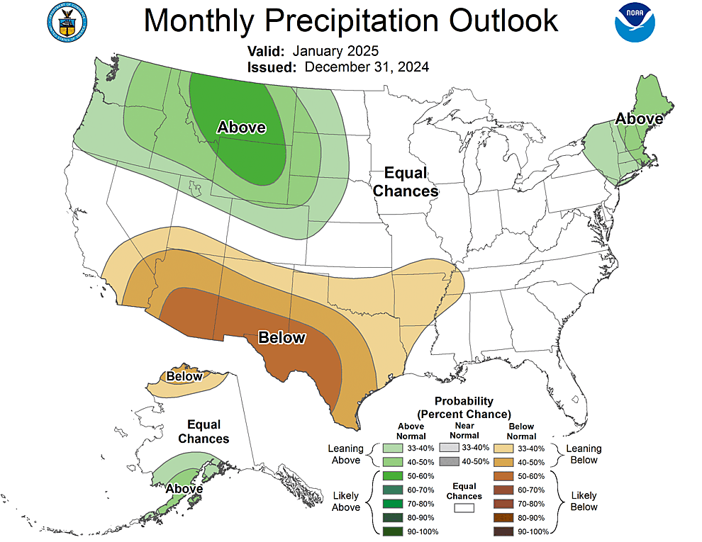 One Month Outlook  Precipitation Probability
