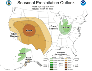Three Month Outlook - Precipitation Probability