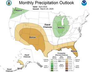 One Month Outlook - Precipitation Probability