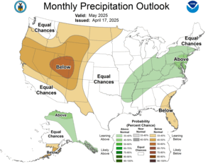 One Month Outlook - Precipitation Probability