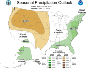 Three Month Outlook - Precipitation Probability