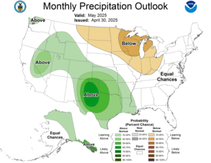 One Month Outlook - Precipitation Probability