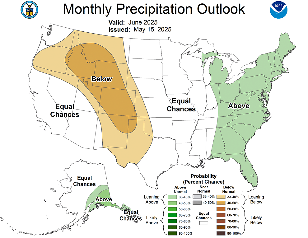 One Month Outlook  Precipitation Probability