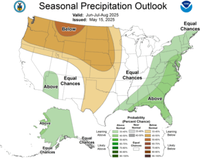 Three Month Outlook - Precipitation Probability