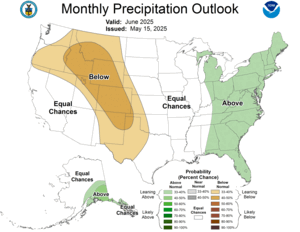 One Month Outlook - Precipitation Probability