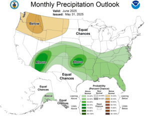 One Month Outlook - Precipitation Probability