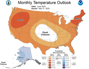 One Month Outlook - Temperature Probability