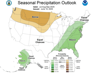 Three Month Outlook - Precipitation Probability