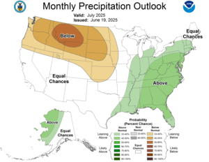 One Month Outlook - Precipitation Probability