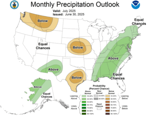 One Month Outlook - Precipitation Probability