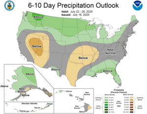 NOAA CPC 6 to 10 Day Precipitation Probability Outlook
