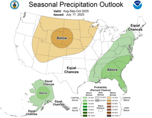 Three Month Outlook - Precipitation Probability