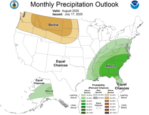 One Month Outlook - Precipitation Probability