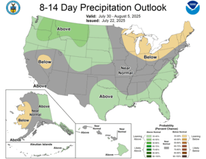 NOAA CPC 8 to 14 Day Precipitation Probability Outlook