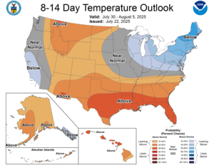 NOAA CPC 8 to 14 Day Temperature Probability Outlook
