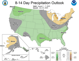 NOAA CPC 8 to 14 Day Precipitation Probability Outlook