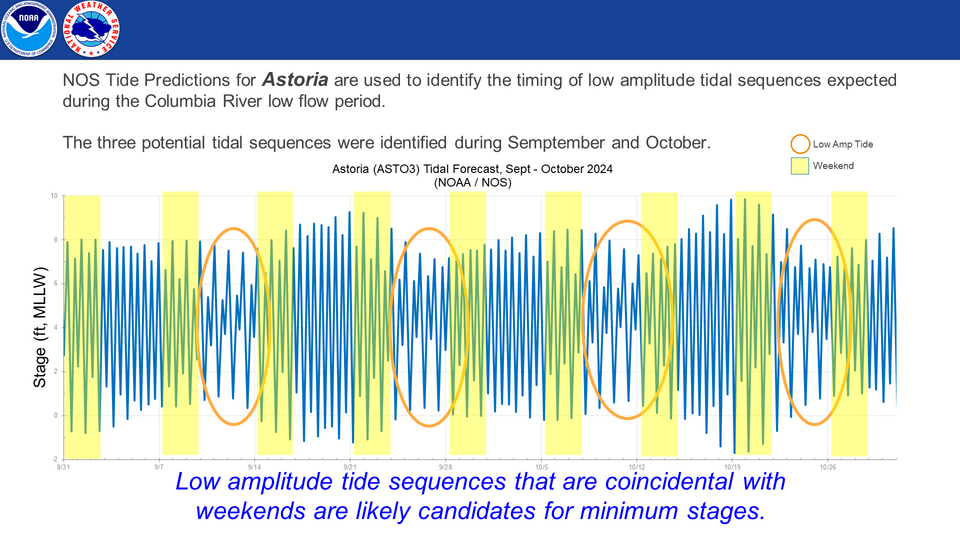 Forecast Details - Tidal Influence