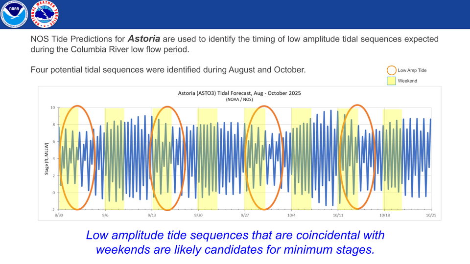 Forecast Details - Tidal Influence
