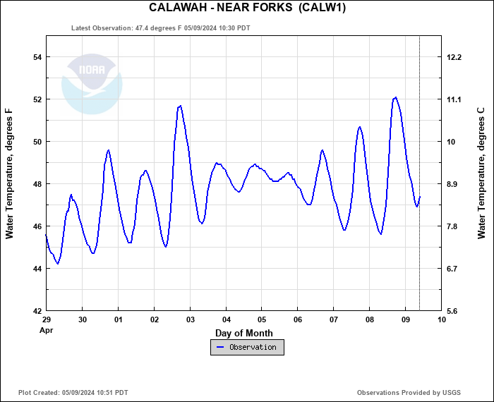 Hydrograph plot for CALW1