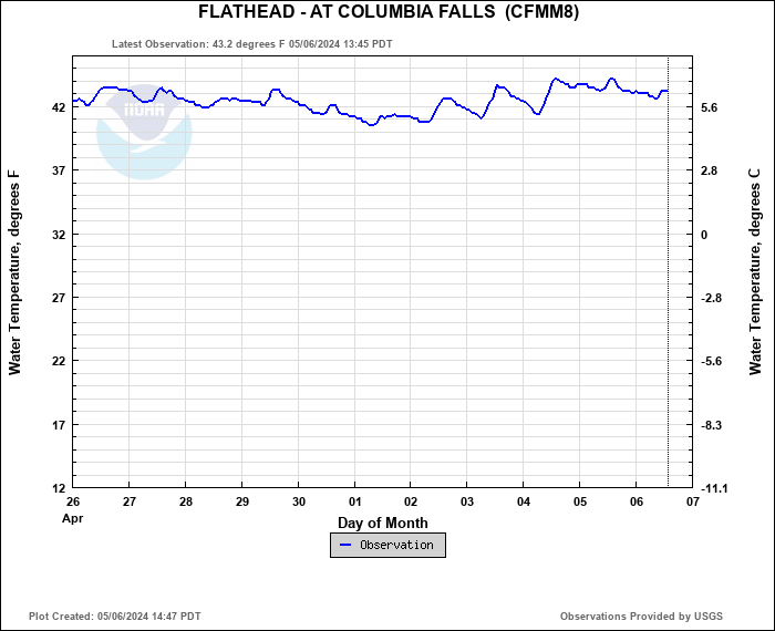 Hydrograph plot for CFMM8