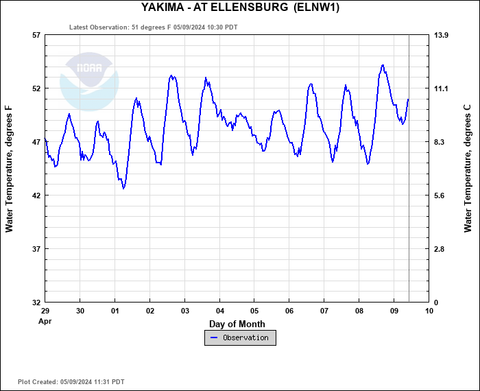 Hydrograph plot for ELNW1