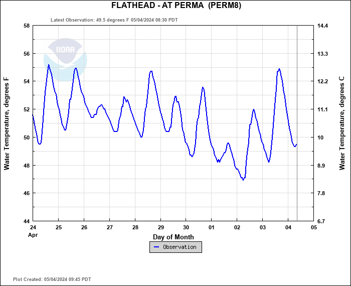 Hydrograph plot for PERM8