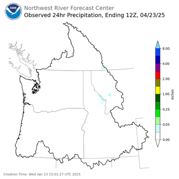 Observed Precipitation