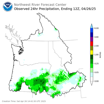 Observed Precipitation