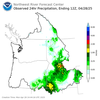 Observed Precipitation