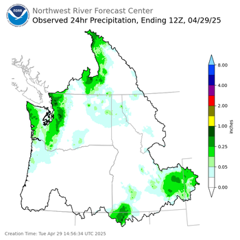 Observed Precipitation