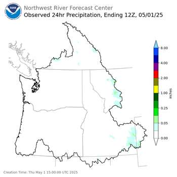 Observed Precipitation